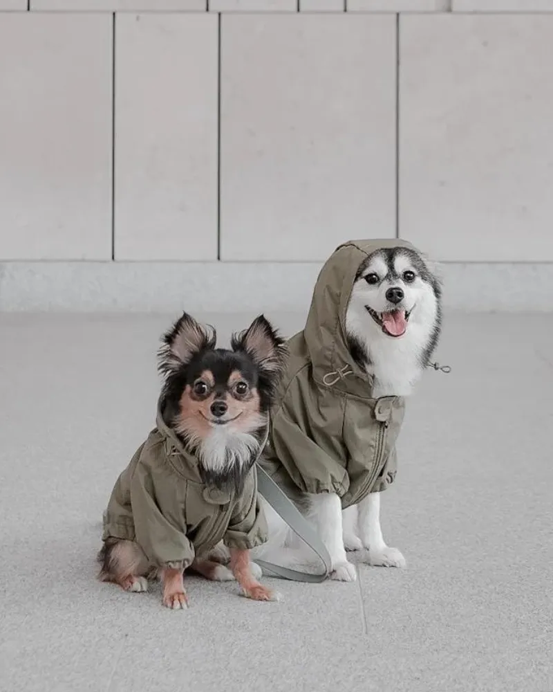 Brooklyn Nylon Water Resistant Dog Jacket (FINAL SALE)