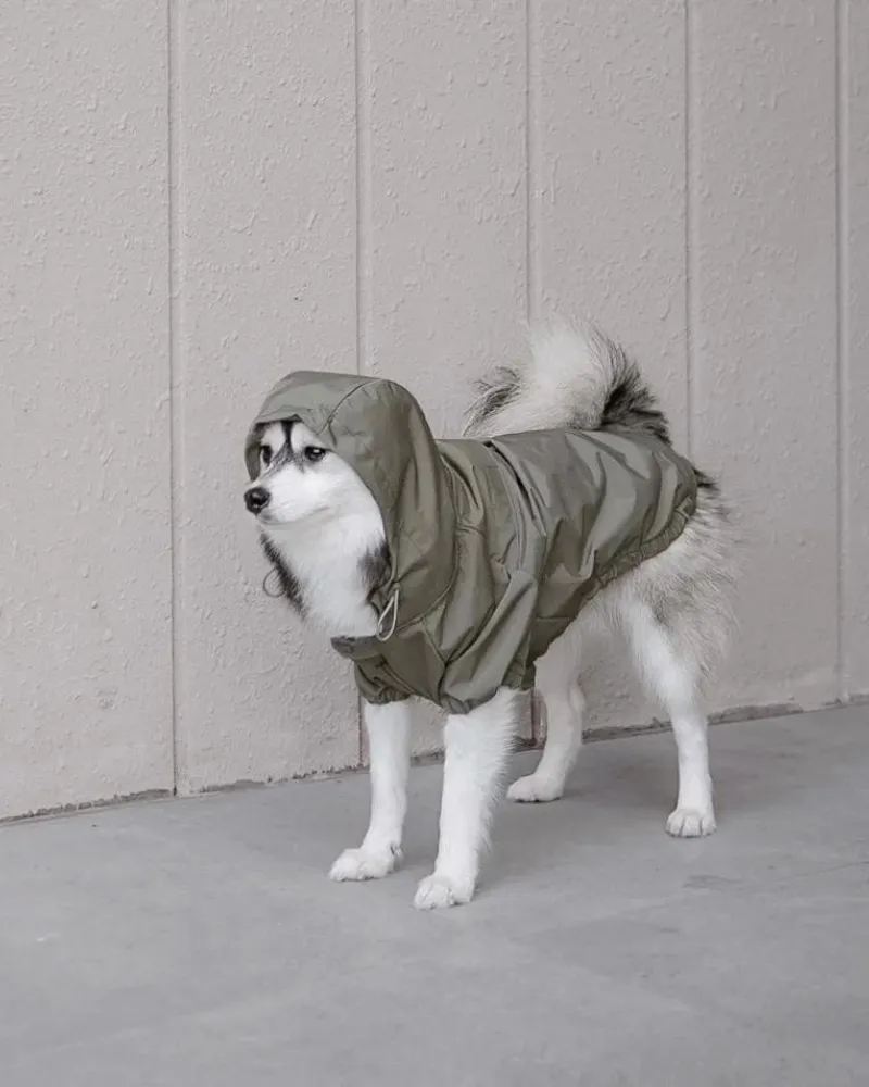 Brooklyn Nylon Water Resistant Dog Jacket (FINAL SALE)