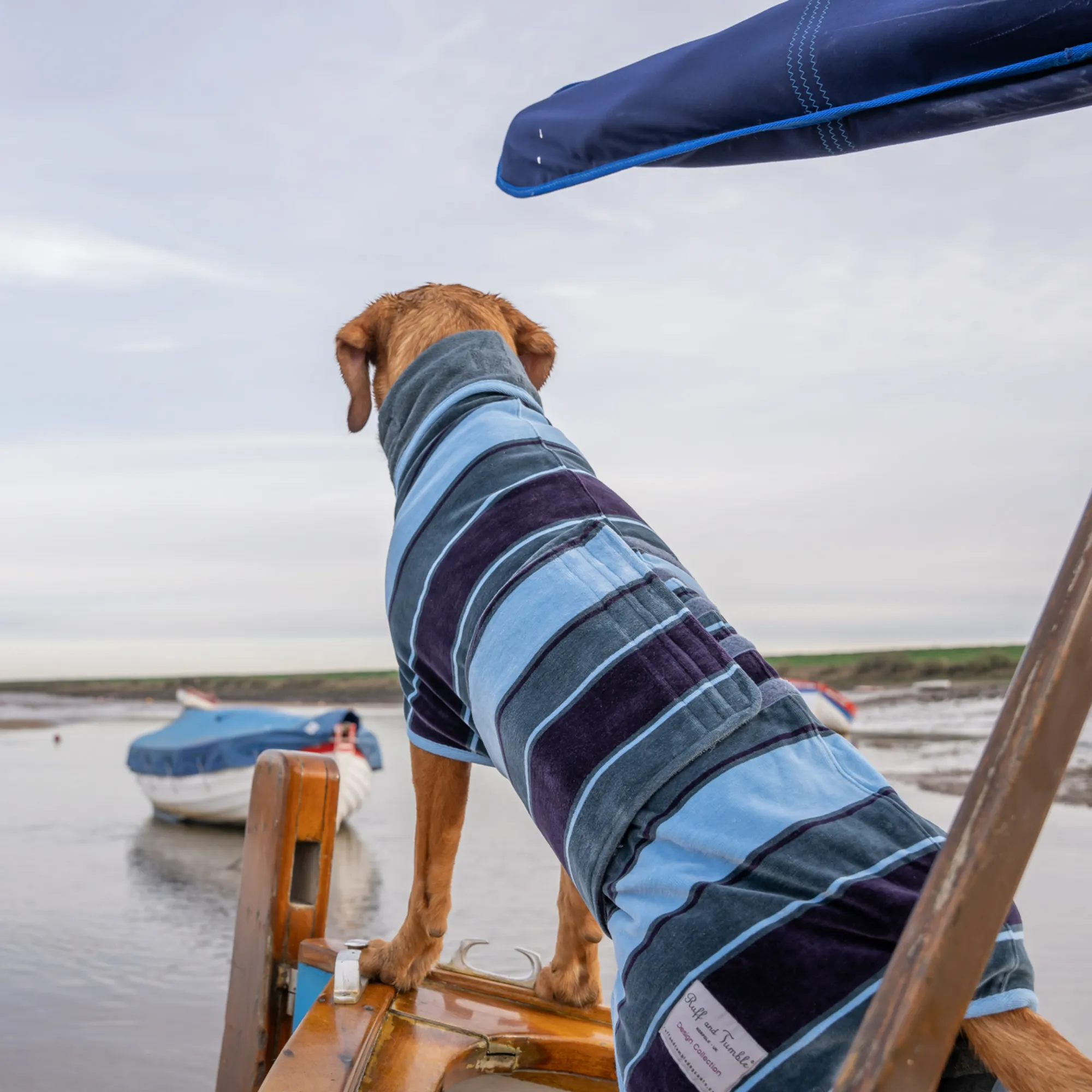 Dog Drying Coat - Design Collection