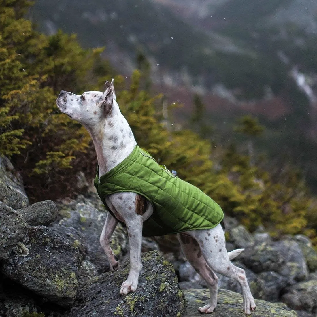 Kurgo - Loft Dog Jackets