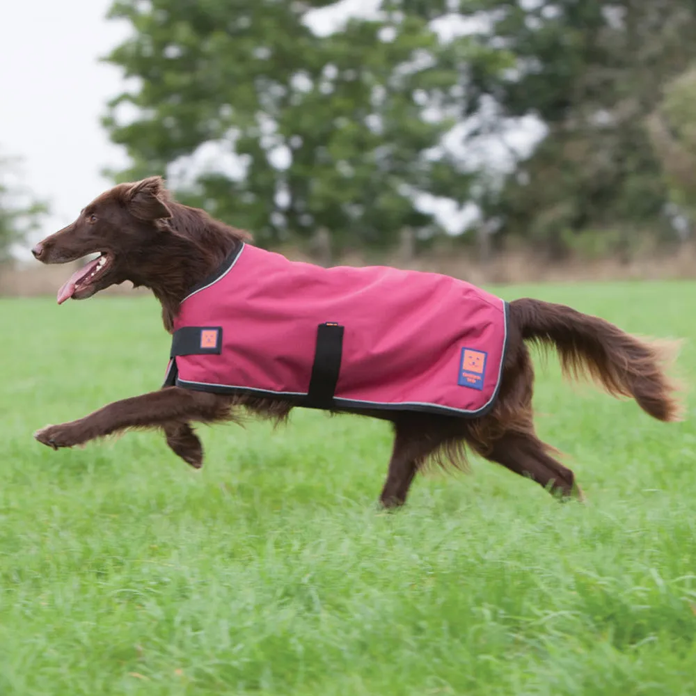 Waterproof Shower Lightweight Dog Coat